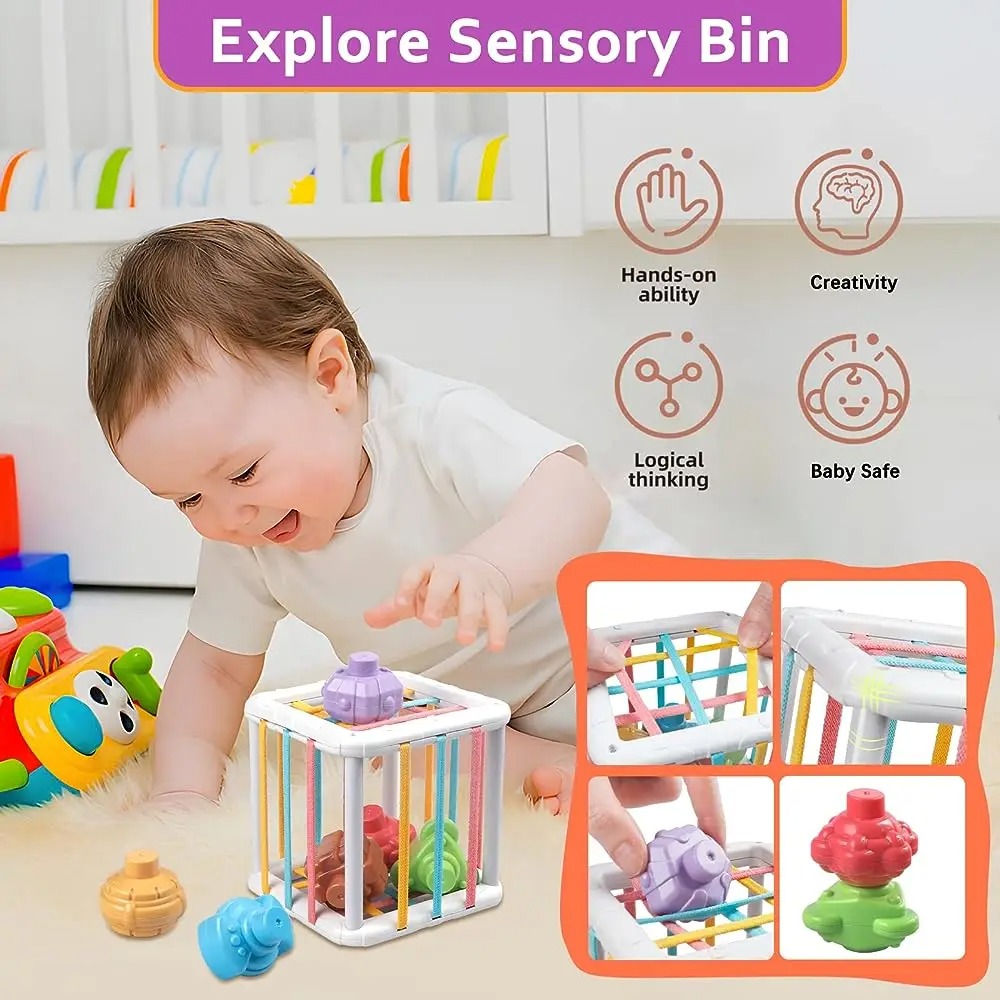 Rainbow Colorful Montessori Sh - Baby Products Toys ulasan dan harga