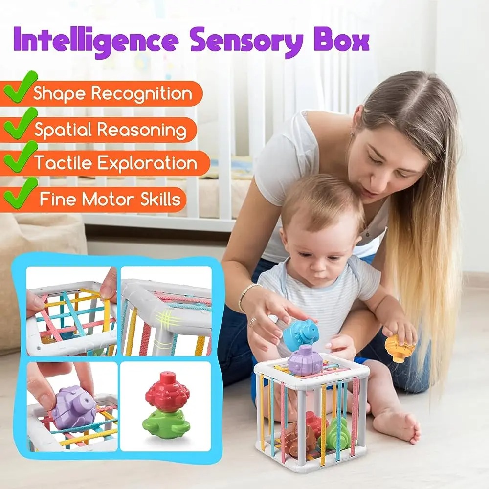 Rainbow Colorful Montessori Sh - Baby Products Toys ulasan dan harga